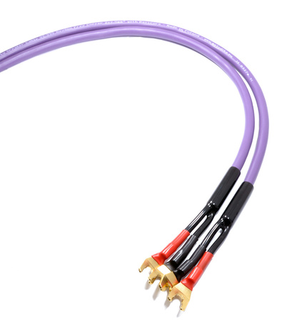 Melodika MDSC4020S Purple Rain kable głośnikowe OFC, 2x4.0mm², widełki, 2x2.0m