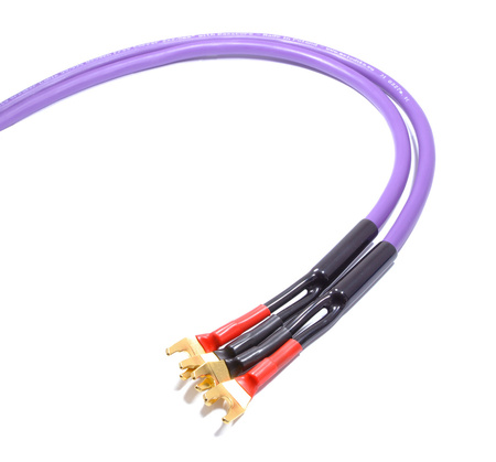 Melodika MDSC4020S Purple Rain kable głośnikowe OFC, 2x4.0mm², widełki, 2x2.0m