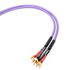 Melodika MDSC4030S Purple Rain kable głośnikowe OFC, 2x4.0mm², widełki, 2x3.0m