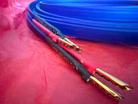 Tellurium Q Blue II Speaker Cable - kable głośnikowe, banany 2x4.0m OUTLET