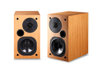 Usher S-520 pioneer birch - kolumny podstawkowe, para OUTLET